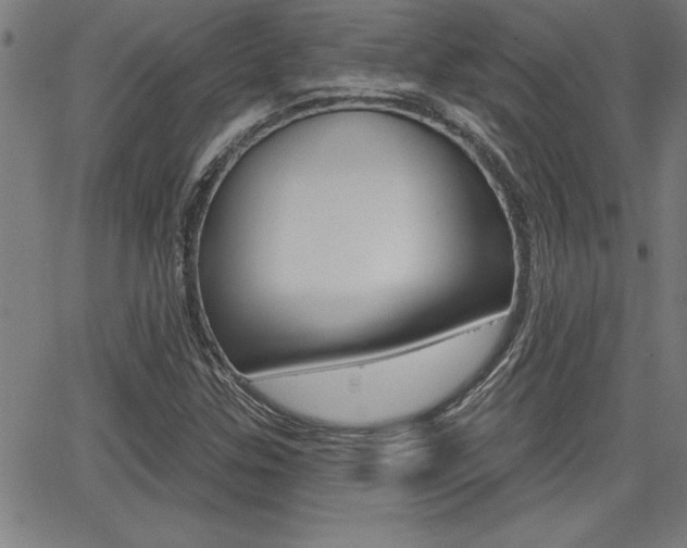 X0000065971307200603030855