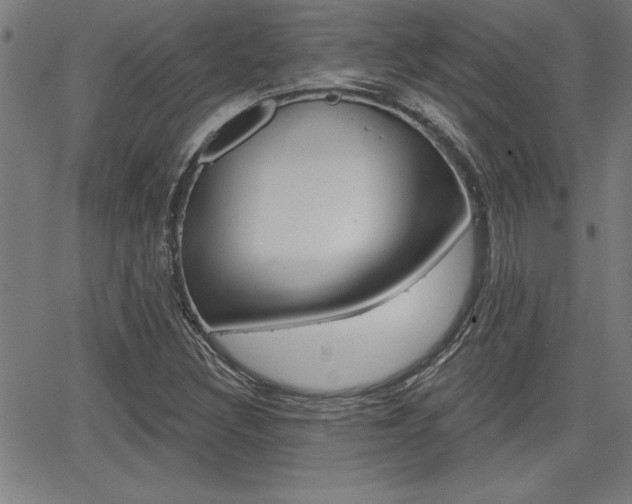 X0000065971308200603030855