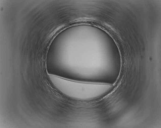 X0000065971313200603030855
