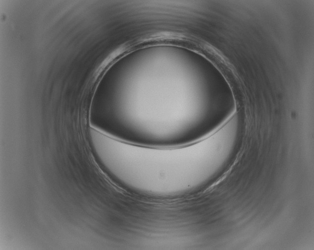 X0000065971321200603030855