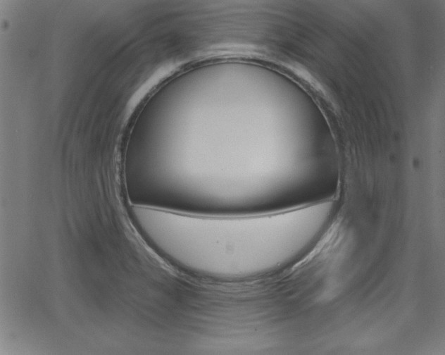 X0000065971325200603030855