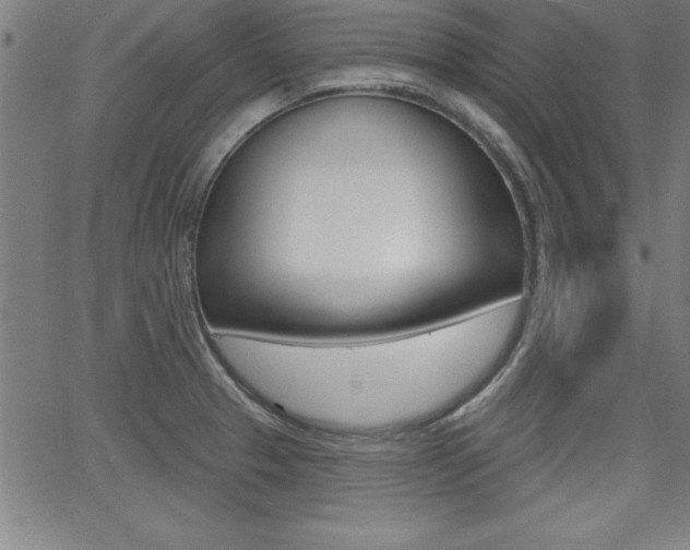X0000065971329200603030855