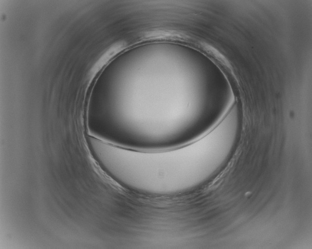 X0000065971330200603030855