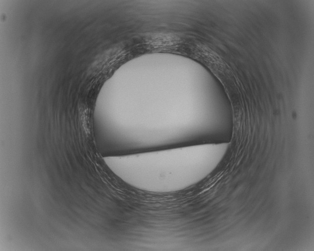 X0000065971346200603030854