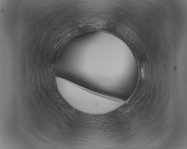 X0000065971347200603030854