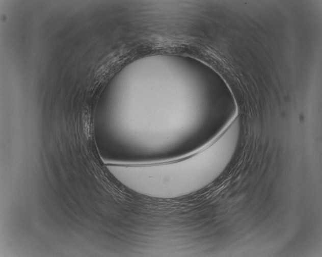 X0000065971348200603030854