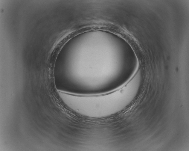 X0000065971352200603030854