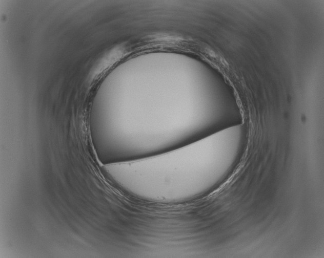 X0000065971354200603030854