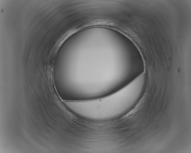 X0000065971369200603030854