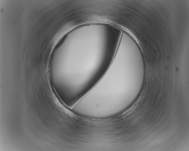 X0000065971387200603030854