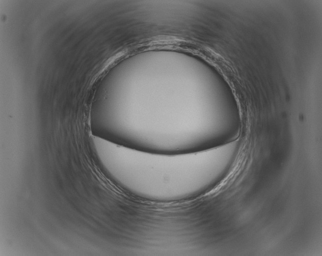X0000065971401200603030853