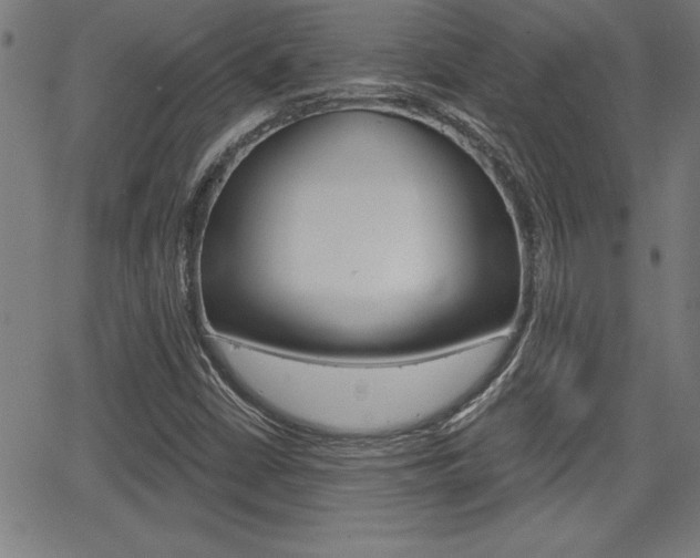 X0000065971402200603030853