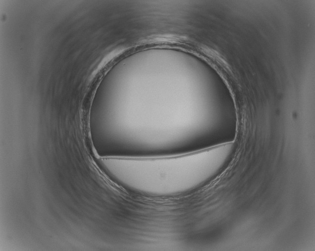 X0000065971404200603030853
