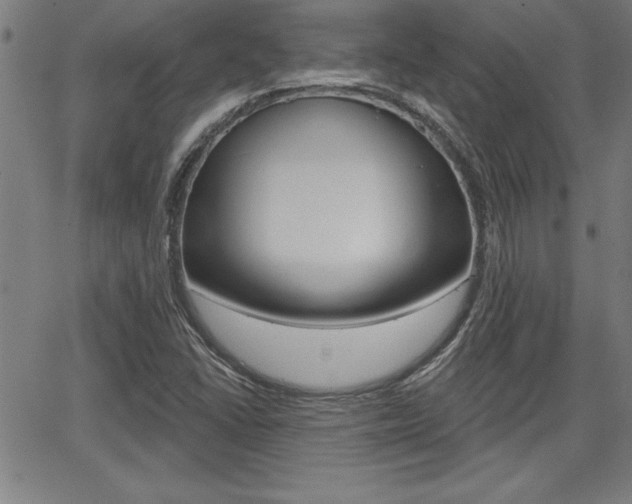 X0000065971406200603030853