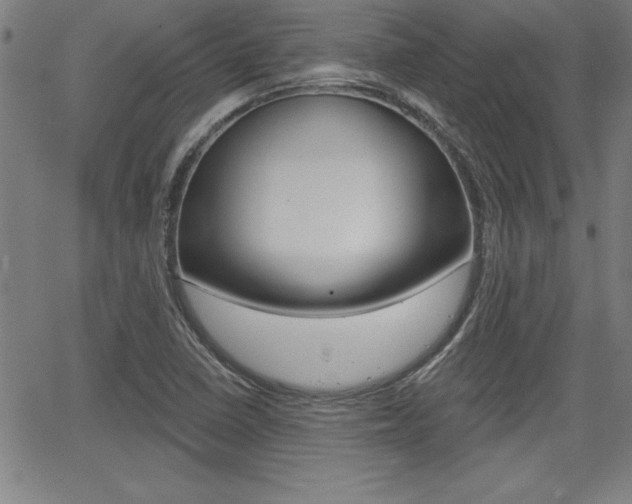 X0000065971410200603030853