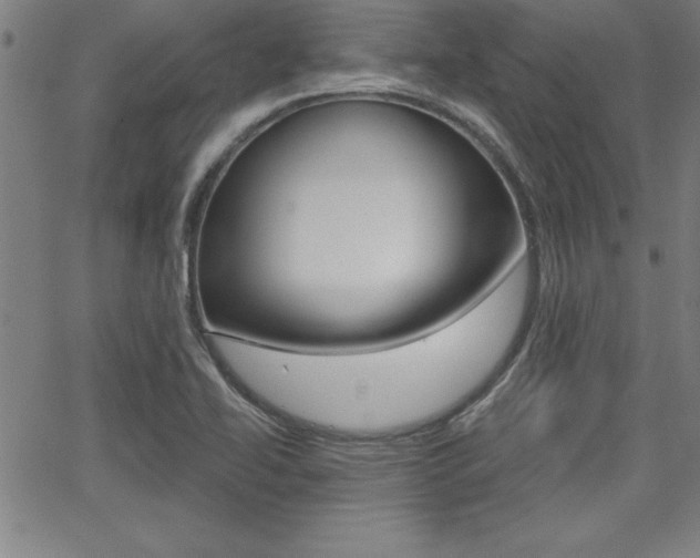 X0000065971414200603030853