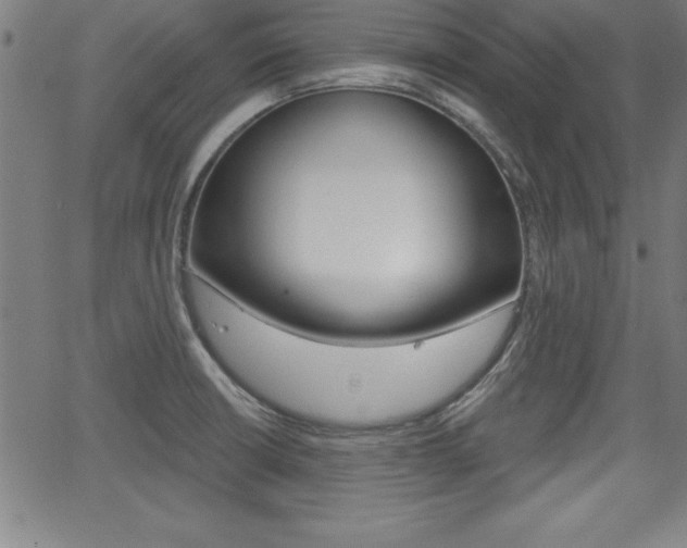 X0000065971426200603030853