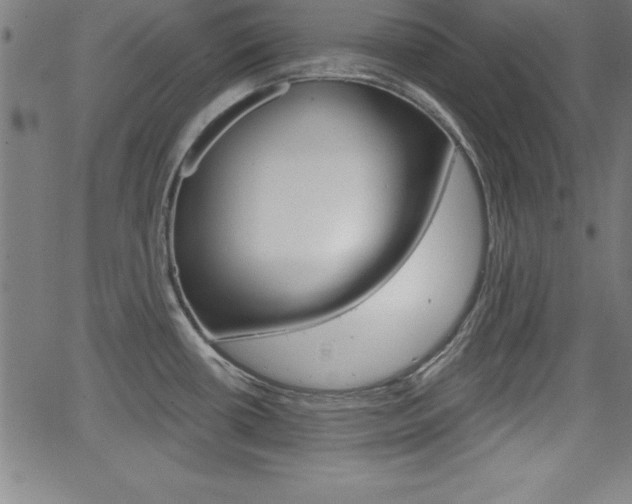 X0000065971434200603030854