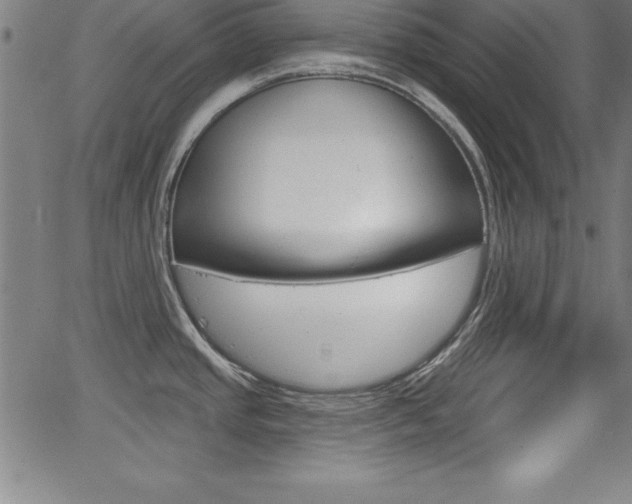 X0000065971437200603030854