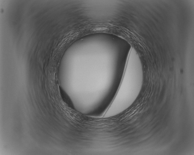 X0000065971441200603030853