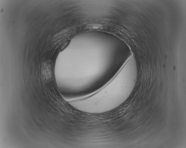 X0000065971442200603030853
