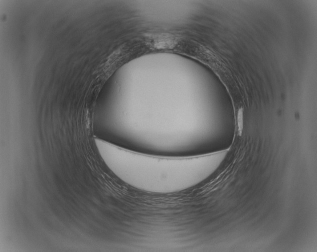 X0000065971443200603030853