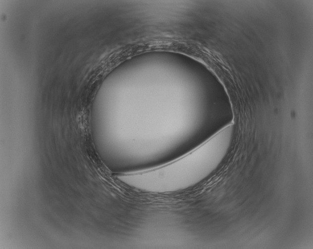 X0000065971445200603030853