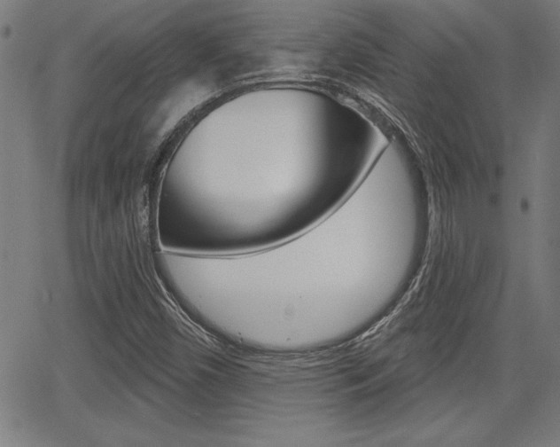 X0000065971450200603030853