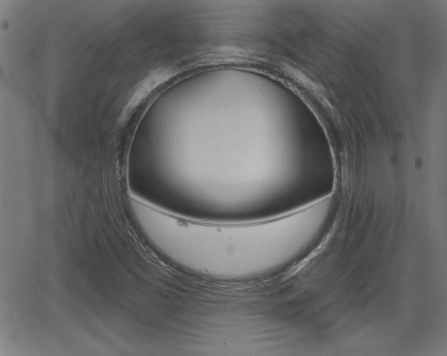 X0000065971453200603030853