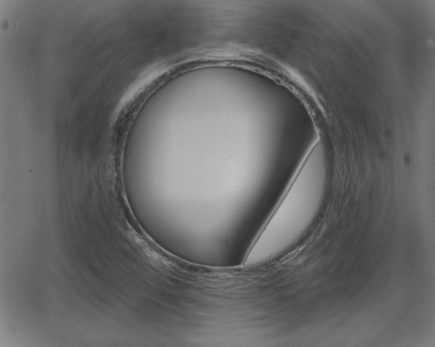 X0000065971456200603030853