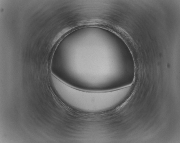 X0000065971457200603030853