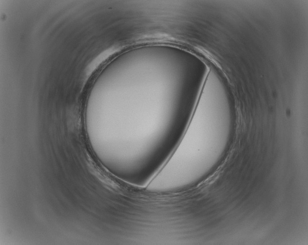 X0000065971458200603030852