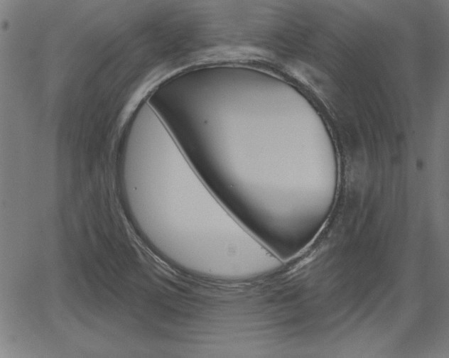 X0000065971459200603030852