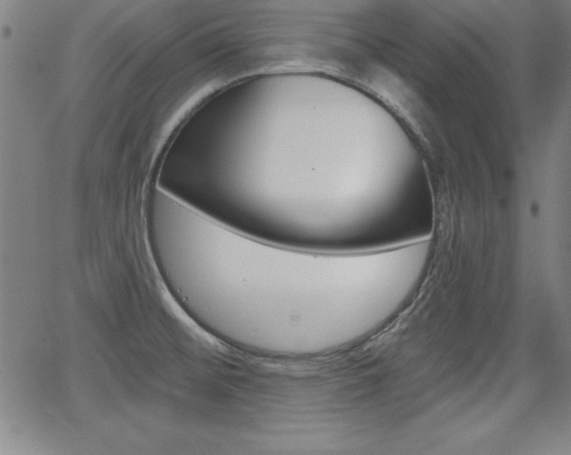 X0000065971476200603030852