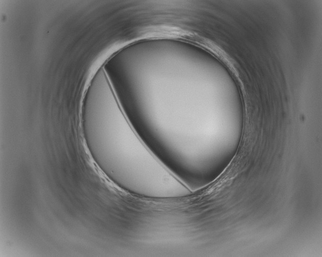 X0000065971488200603030852