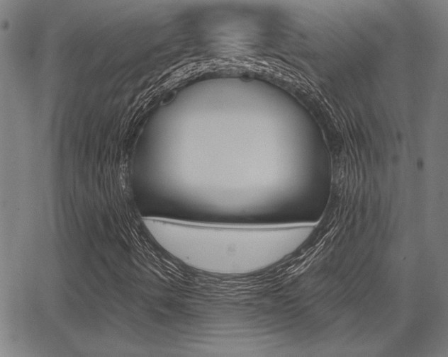X0000065971490200603030851