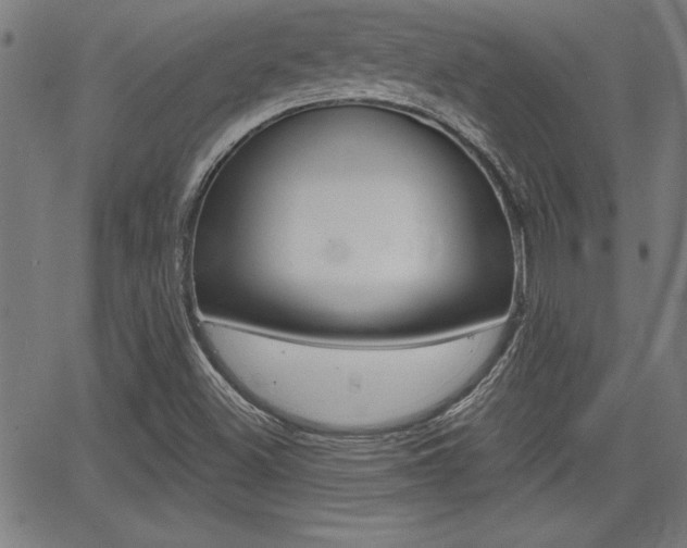X0000065971500200603030851