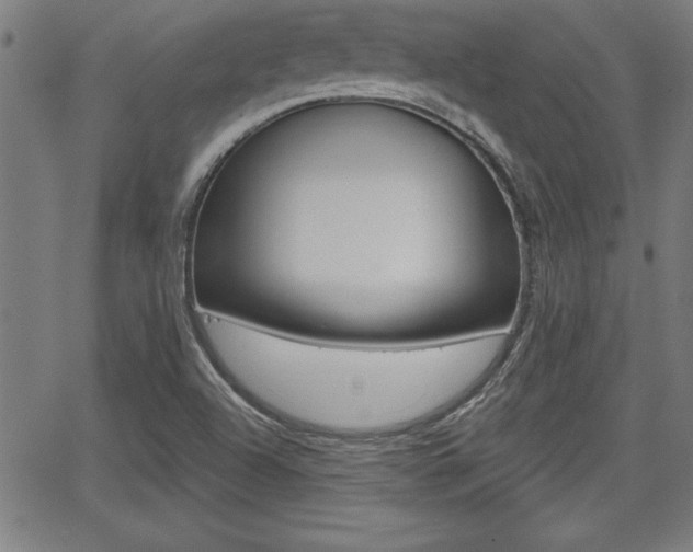 X0000065971504200603030851