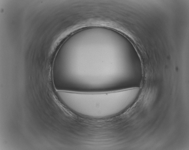 X0000065971507200603030852