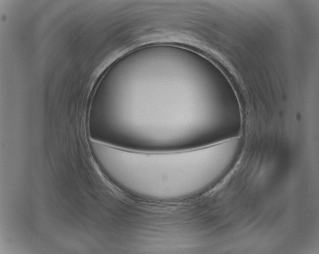 X0000065971513200603030852