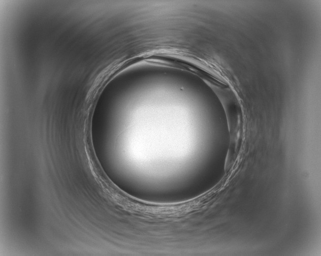 X0000065970001200603031141