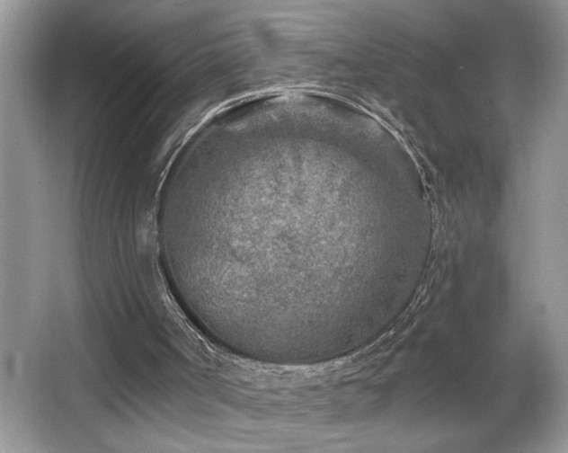 X0000065970002200603031141