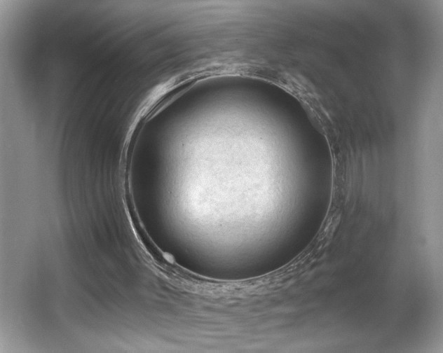 X0000065970003200603031141