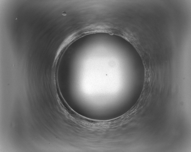 X0000065970004200603031140