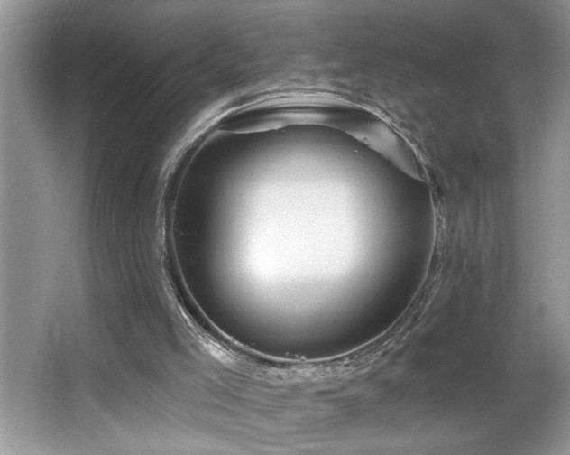 X0000065970005200603031140