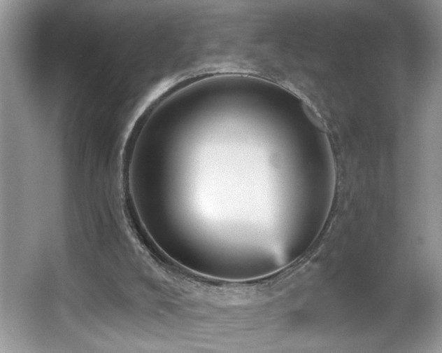 X0000065970008200603031140