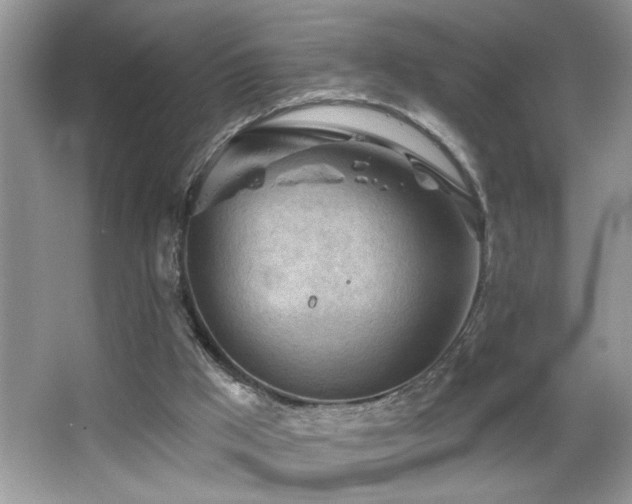 X0000065970009200603031140