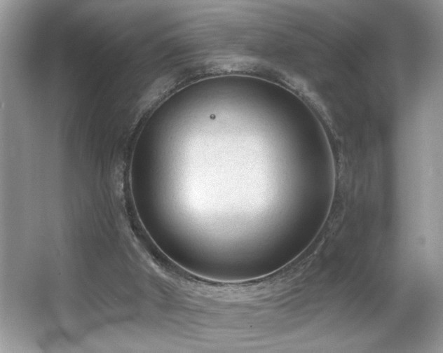 X0000065970010200603031140