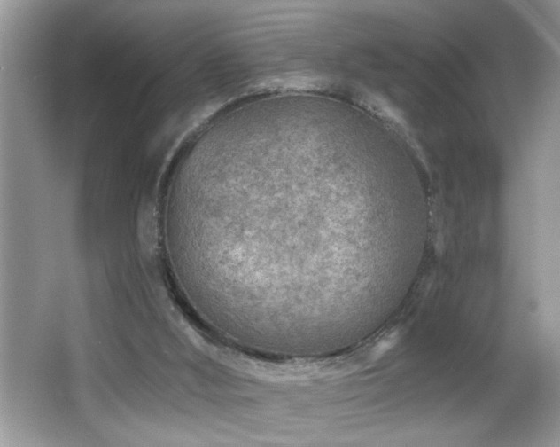 X0000065970012200603031140