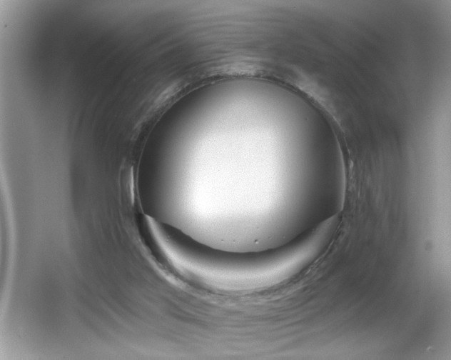 X0000065970013200603031140